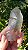 Quartzo Jardim - Imagem 6