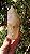 Mestre Elestial - Imagem 1