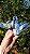 Cianita Azul com Quartzo - Imagem 3