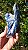 Cianita Azul com Quartzo - Imagem 3