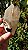 Elestial com Mica - Imagem 9