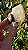 Elestial com Mica - Imagem 5