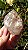 Elestial - Imagem 4