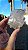 Placa Elestial - Imagem 3