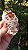 Barita Marroquina com Vanadinita - Imagem 1