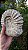 Fossilização de Ônix do Paquistão em forma de Amonita - Imagem 2