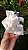 Calcita Mangano com Galena (reagente a luz UV) - Imagem 6