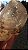 Cetro Elestial Enhydro - Imagem 2