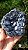 Galena Extra com Pirita - Imagem 1