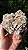 Rosa do Deserto - Imagem 1