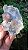 Flor de Cristal - Imagem 1