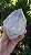 Gerador Elestial - Imagem 10