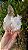 Drusa de Cristal Rosa - Imagem 7
