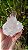 Drusa de Cristal Rosa Ísis e Elos do Tempo - Imagem 7