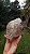 Elestial - Imagem 4
