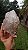Elestial - Imagem 8