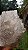 Elestial - Imagem 11