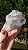 Drusa de Cristal com Hematita - Imagem 3