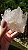 Drusa de Cristal - Imagem 2