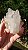 Drusa de Cristal - Imagem 1
