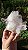 Drusa de Cristal - Imagem 1