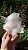 Drusa de Cristal - Imagem 2