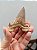 Dente de Tubarão Fossilizado - Imagem 2