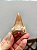 Dente de Tubarão Fossilizado - Imagem 1