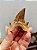 Dente de Tubarão Fossilizado - Imagem 2