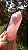Quartzo Rosa Super Extra - Imagem 7