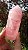 Quartzo Rosa Super Extra - Imagem 6