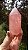 Quartzo Rosa Extra - Imagem 1