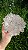 Flor de Cristal - Imagem 6