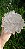 Flor de Cristal - Imagem 1