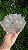 Flor de Cristal - Imagem 4
