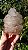 Elestial - Imagem 2