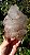 Elestial - Imagem 1