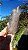 Elestial - Imagem 7