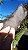 Elestial - Imagem 8