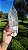 Cristal Biterminado Hialino - Imagem 1