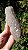 Elestial - Imagem 3