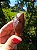Dream Coat Red Cap - Imagem 6