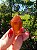 Dream Coat Red Cap - Imagem 3