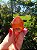 Dream Coat Red Cap - Imagem 2