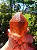 Dream Coat Red Cap - Imagem 5