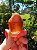 Dream Coat Red Cap - Imagem 1