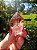 Dream Coat Red Cap - Imagem 1