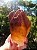 Dream Coat Red Cap - Imagem 2