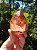 Dream Coat Red Cap - Imagem 5