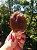 Dream Coat Red Cap - Imagem 2